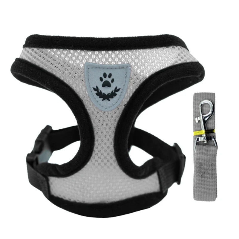 Mesh Dog Harness and Leash Set for Puppies and Small Dogs