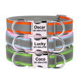 Personalized Reflective Dog Collar with Engraved Name Plate