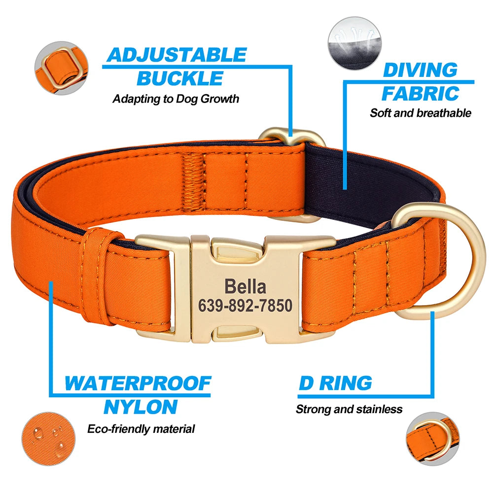 Personalized Padded Dog Collar with Engraved Gold Buckle