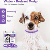 Dog Calming Collar Multi-Pack, 3 or 4 Adjustable Collars
