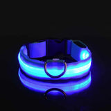 LED Light-Up Nylon Dog Collar with D-Ring and Buckle