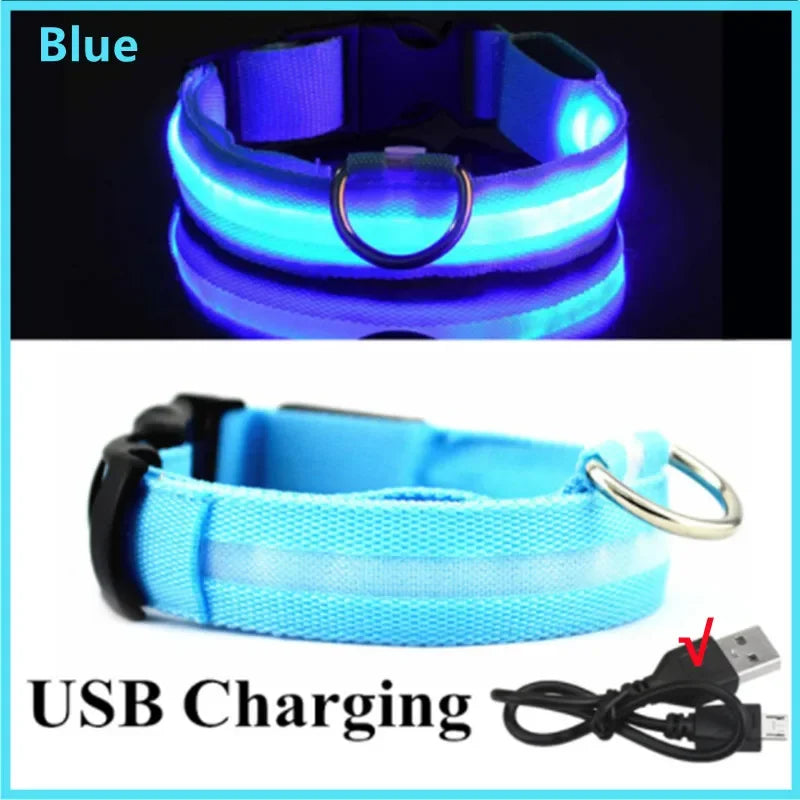 LED Dog Collar with 3 Light Modes, USB or Battery Powered