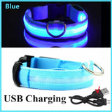 LED Dog Collar with 3 Light Modes, USB or Battery Powered