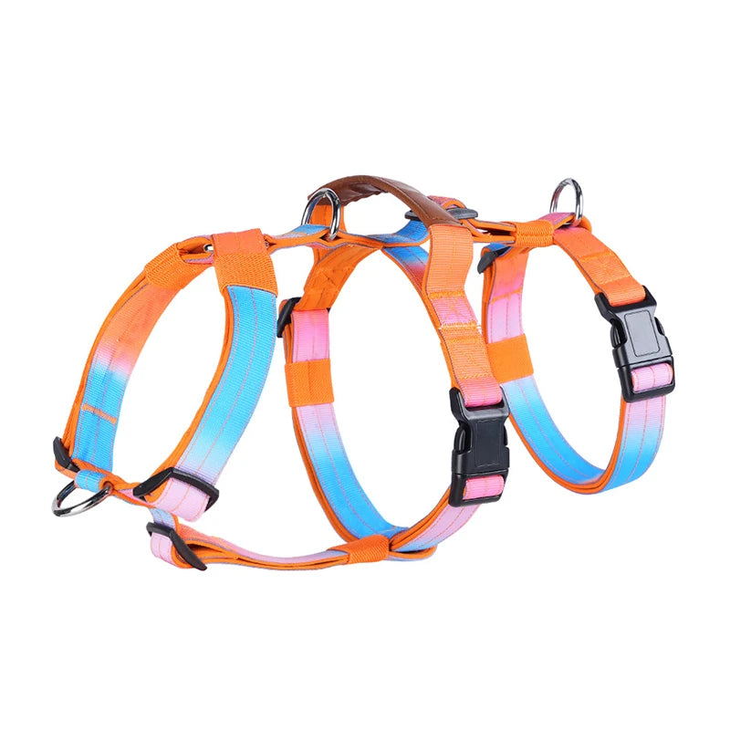 Adjustable Nylon Vest Harness for Large Dogs, M to XL