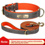 Personalized Leather Dog Collar with Engraved Nameplate, Pin Buckle
