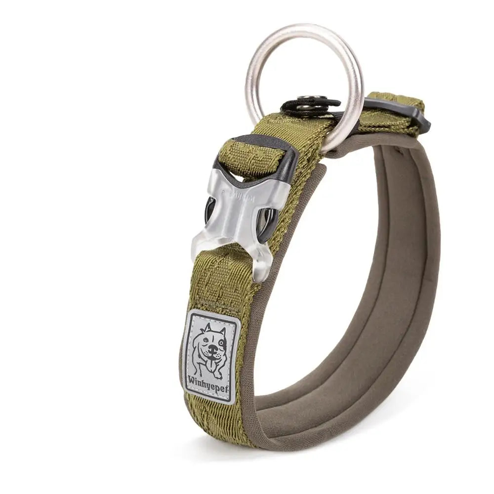 Adjustable Padded Dog Collar with Quick Release Buckle, XXS to 3XL