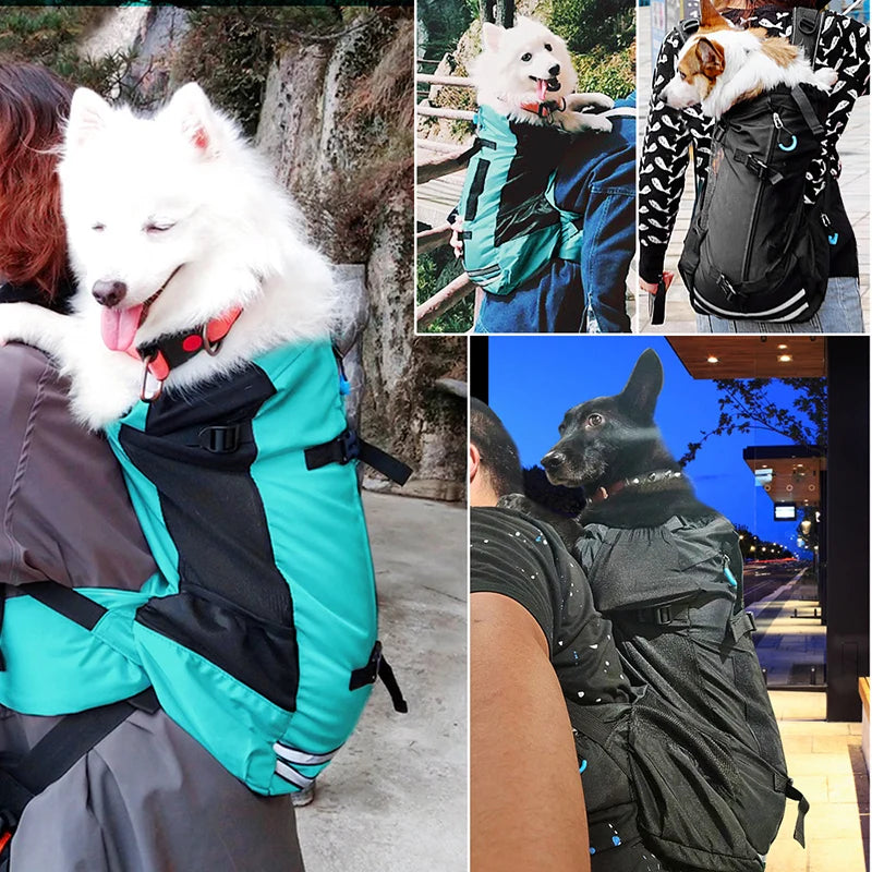 Cycling and Motorcycle Dog Backpack for Corgis, Pugs and Frenchies
