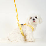 Adjustable Puppy Harness, Collar and Leash Set in Macaron Colors