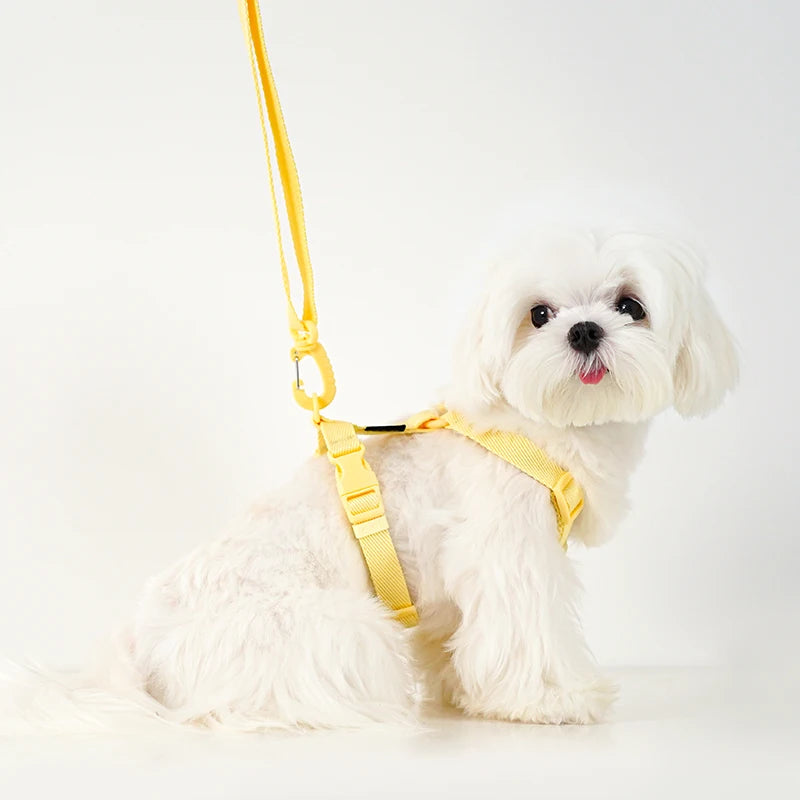 Adjustable Puppy Harness, Collar and Leash Set in Macaron Colors