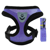 Mesh Dog Harness and Leash Set for Puppies and Small Dogs