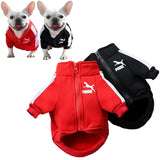 Dog Baseball Jacket for Fall and Winter