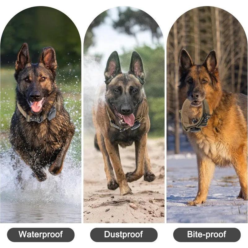 Tactical Dog Collar with Control Handle and AirTag Holder, M to XL
