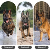 Tactical Dog Collar with Control Handle and AirTag Holder, M to XL