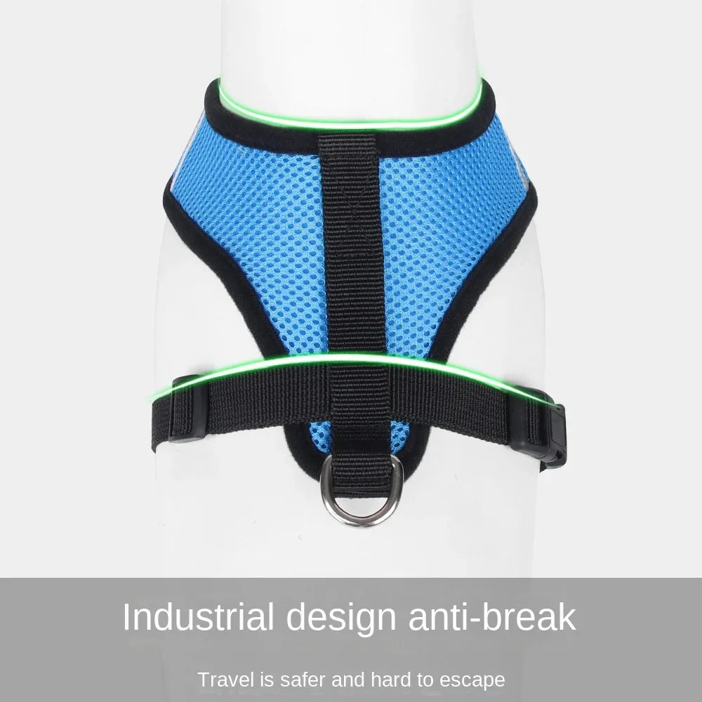 Mesh Dog Harness and Leash Set for Small Dogs and Cats