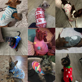 Rainbow Striped Dog Vest with Caterpillar Design for Small Dogs