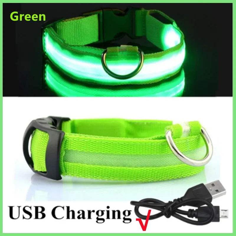 LED Dog Collar with 3 Light Modes, USB or Battery Powered