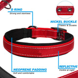 Padded Reflective Dog Collar with Metal Buckle, Medium to Large Dogs
