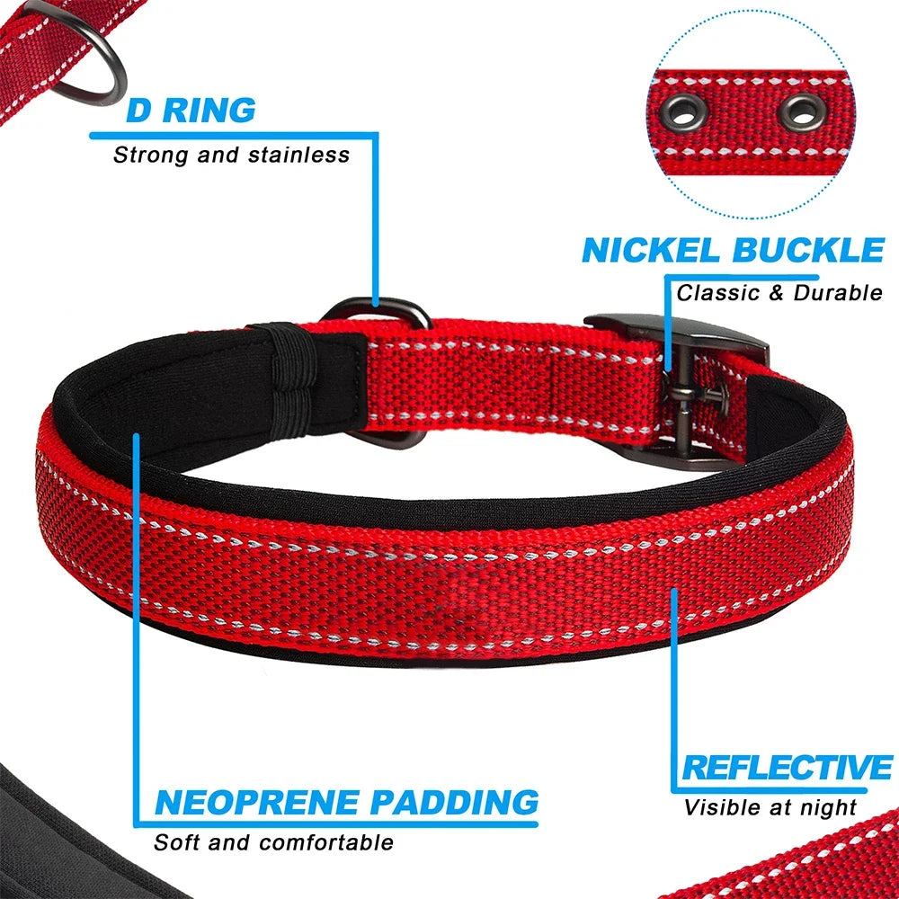 Padded Reflective Dog Collar with Metal Buckle, Medium to Large Dogs