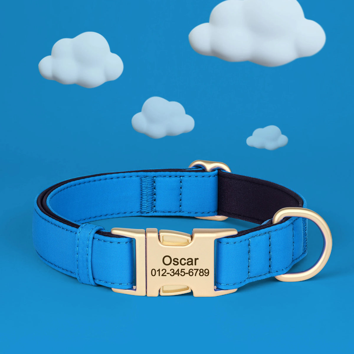 Personalized Padded Dog Collar with Engraved Gold Buckle
