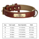 Personalized Leather Dog Collar with Engraved Nameplate ID Tag