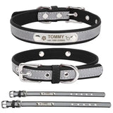 Personalized Dog Collar Gift for Dog Lovers, Engraved Name