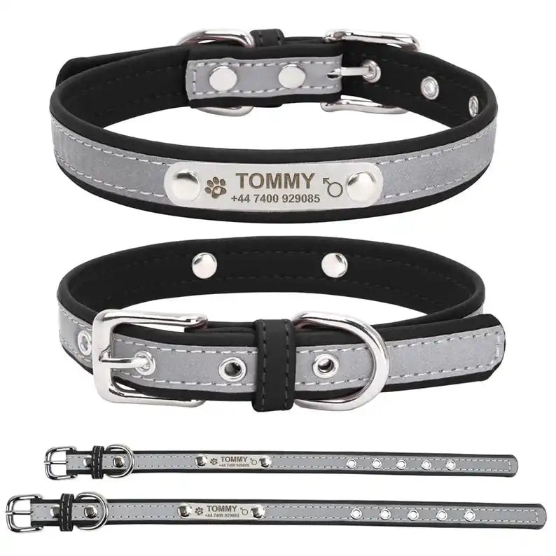 Personalized Dog Collar Gift for Dog Lovers, Engraved Name