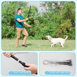 Flirt Pole for Dogs with Rope Lure, Interactive Exercise Toy