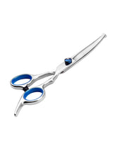 Round Tip Dog Grooming Scissors, 6 Inch Stainless Steel