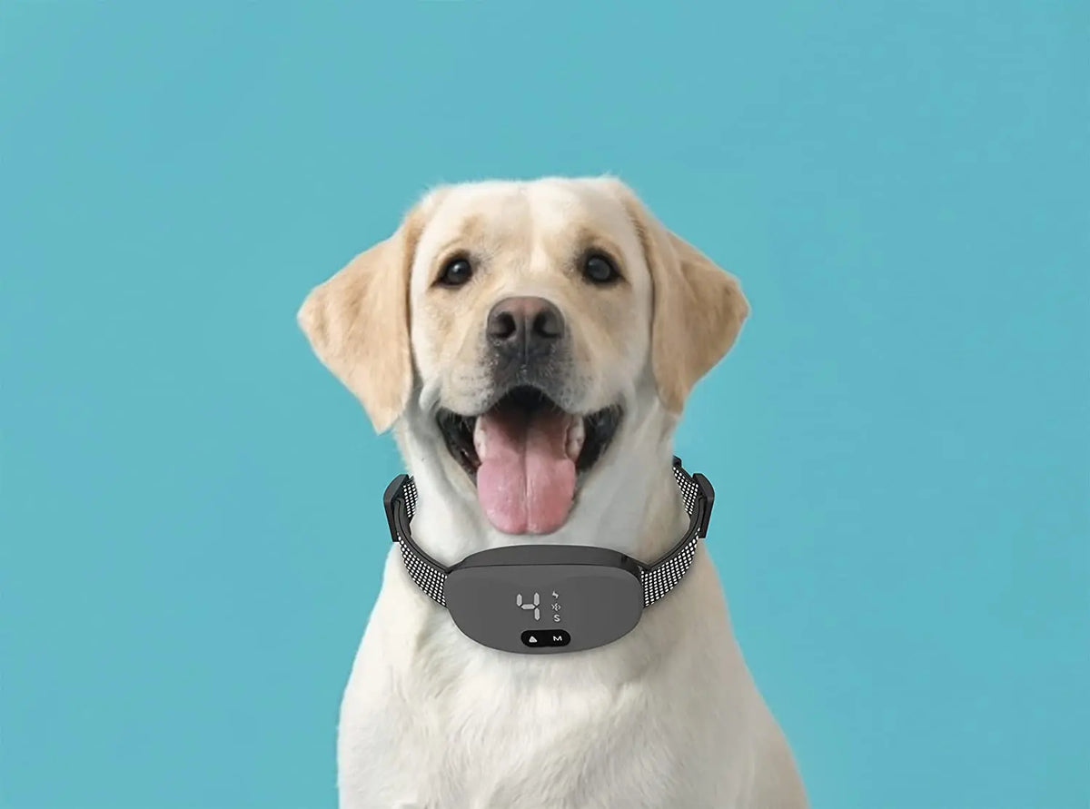 Rechargeable Anti Bark Collar with Beep, Vibration, and Static