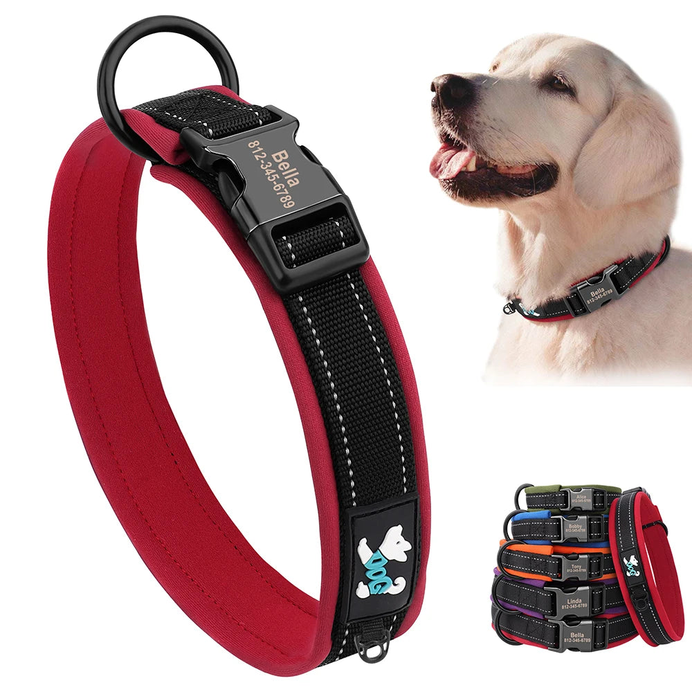 Personalized Dog Collar with Engraved Nameplate, Padded Nylon