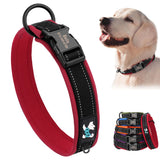 Personalized Dog Collar with Engraved Nameplate, Padded Nylon