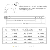 Personalized Leather Dog Collar with Engraved Nameplate, Pin Buckle