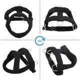 Dog Weight Pulling Harness with Dual 4 ft Pull Lines, Padded