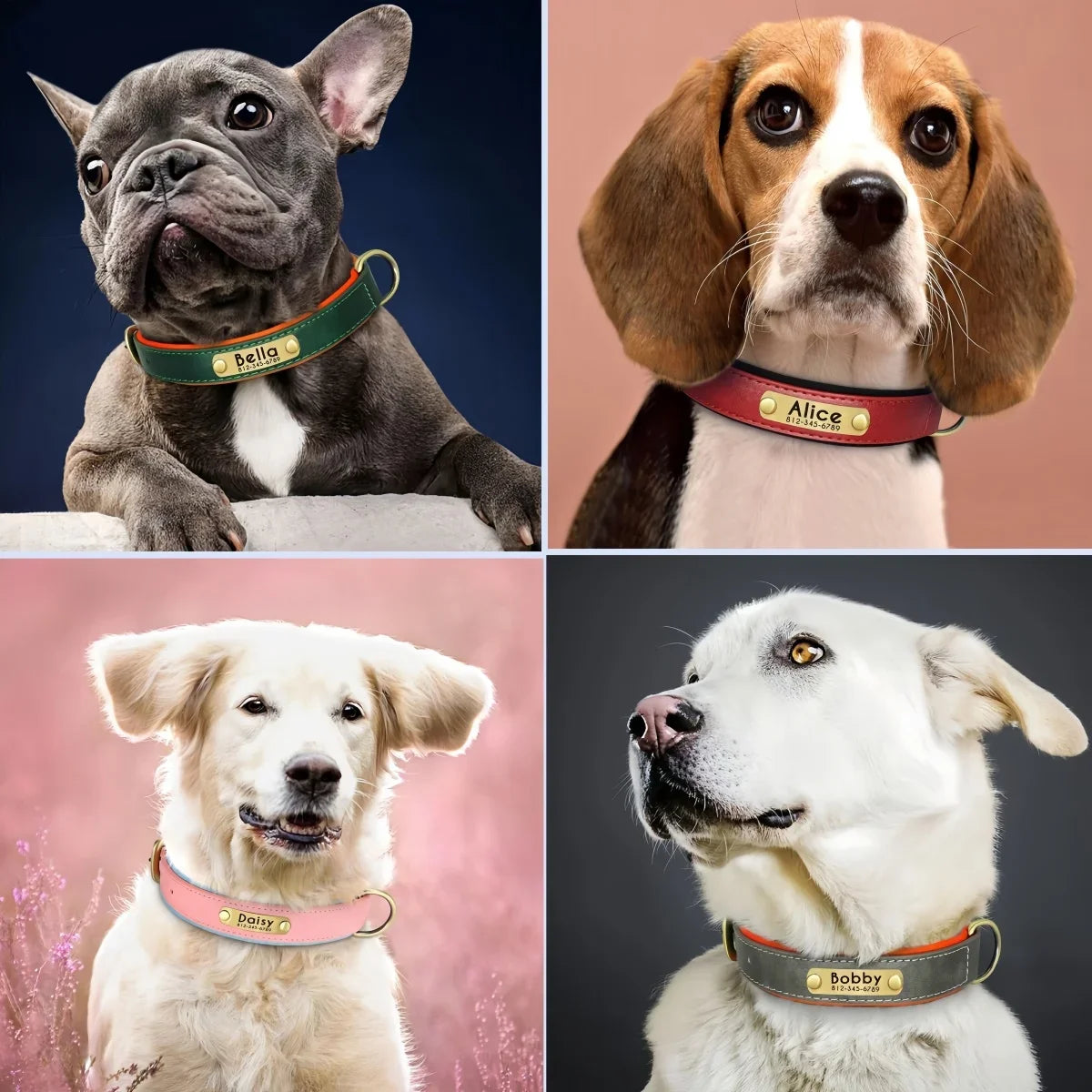 Personalized Padded Leather Dog Collar with Engraved Nameplate