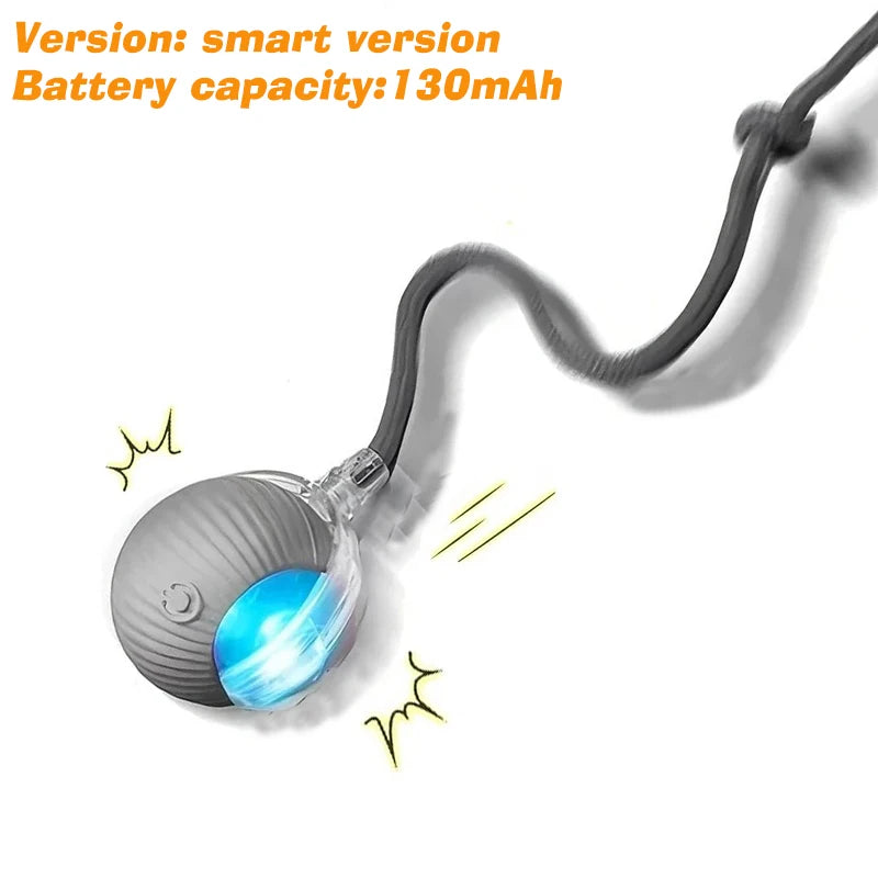 Automatic Rolling Ball Toy for Dogs, Rechargeable with 3 Modes