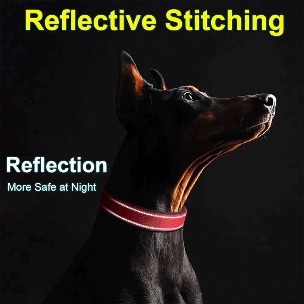 Padded Reflective Dog Collar with Metal Buckle, Medium to Large Dogs