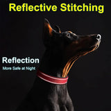 Padded Reflective Dog Collar with Metal Buckle, Medium to Large Dogs