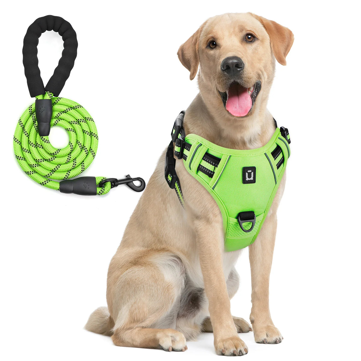 No Pull Dog Harness and Leash Set with Front and Back Clips