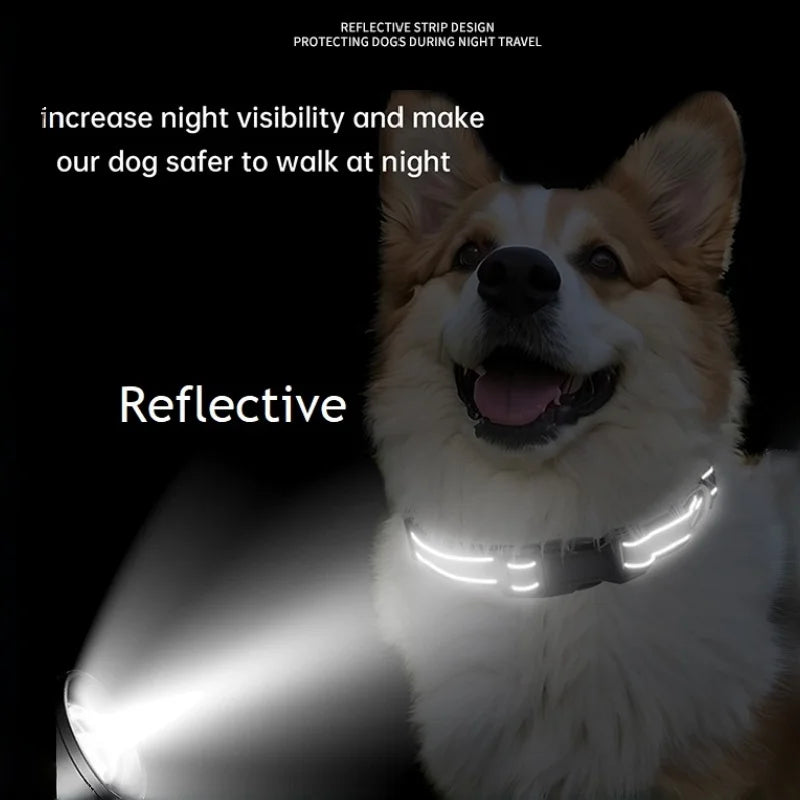 Reflective Nylon Dog Collar, Adjustable, XS to XL in 10 Colors