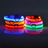 LED Light-Up Nylon Dog Collar with D-Ring and Buckle