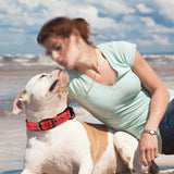 Padded Reflective Dog Collar with Metal Buckle, Medium to Large Dogs