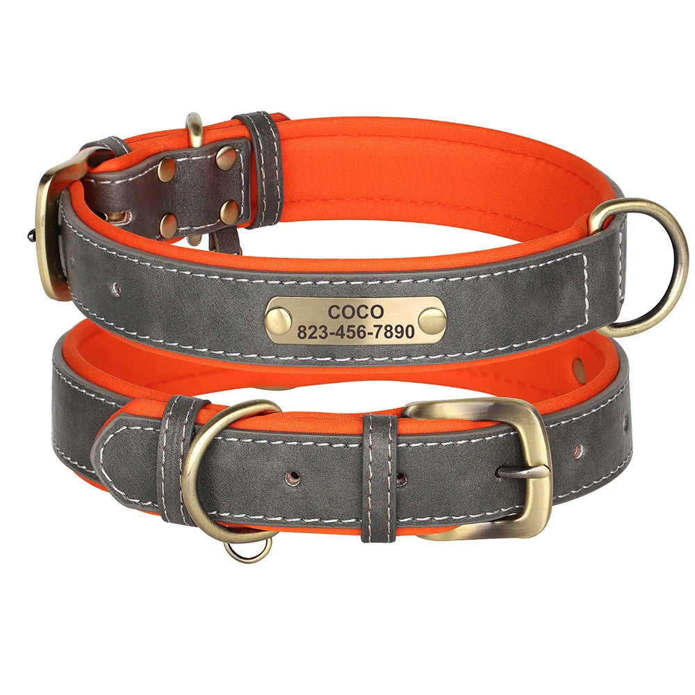 Personalized Leather Dog Collar with Engraved Nameplate, Pin Buckle