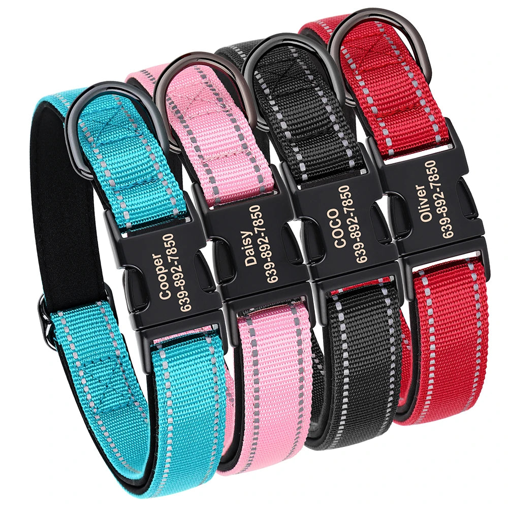 Custom Padded Nylon Dog Collar with Engraved Phone Number