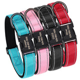 Custom Padded Nylon Dog Collar with Engraved Phone Number