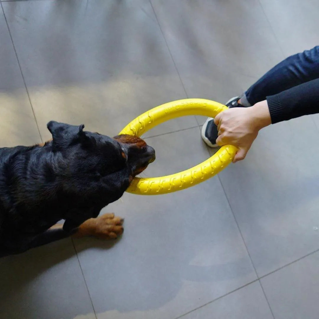 Floating Dog Ring Toy for Fetch and Tug in Soft EVA Foam
