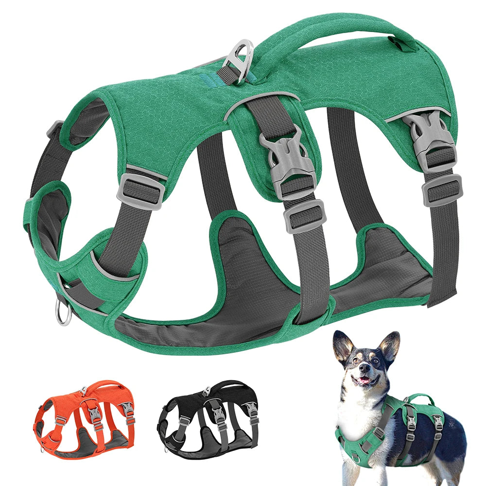 3-Strap Reflective Dog Harness with Handle and Front Clip
