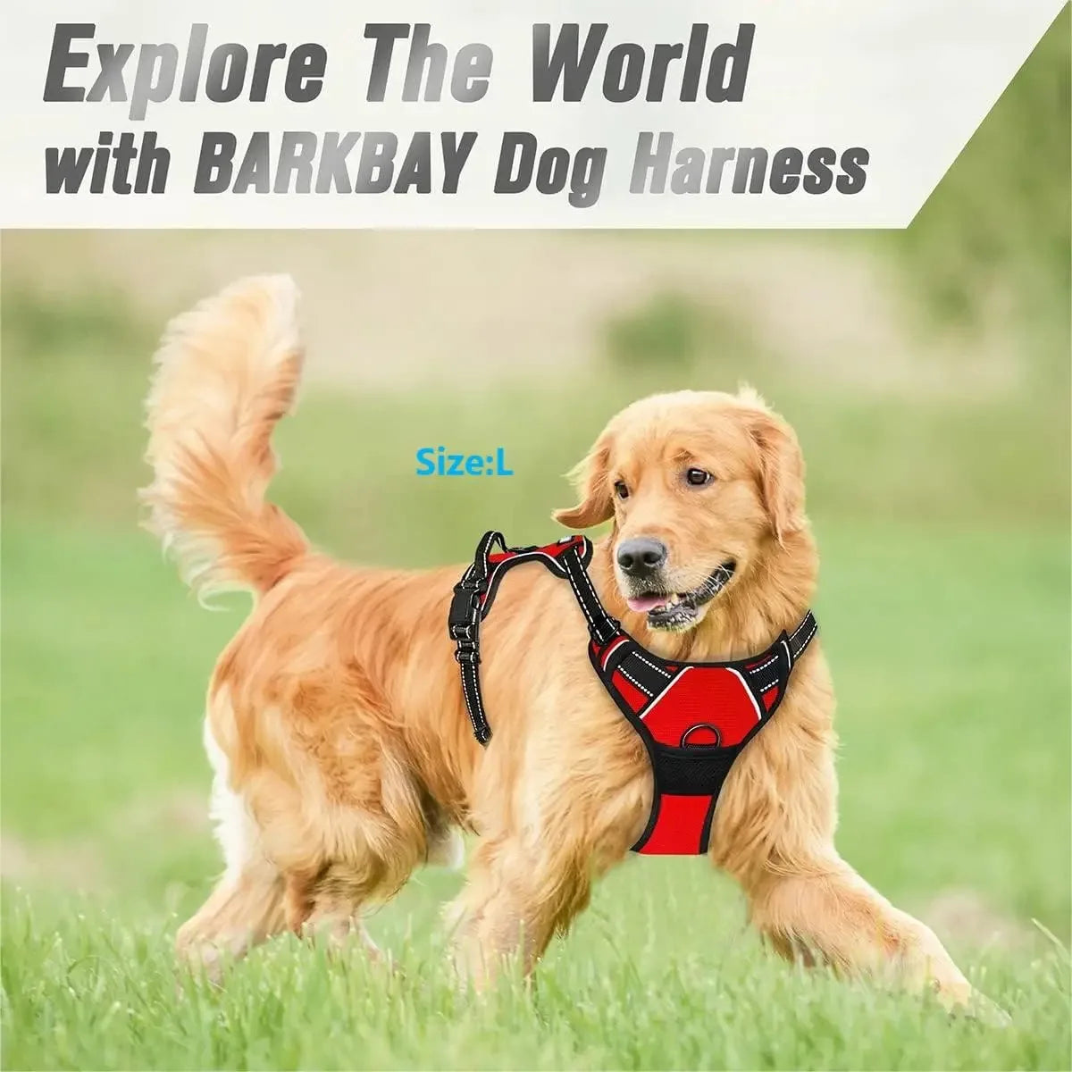 Dog Vest Harness for Small and Medium Dogs, All Seasons