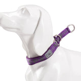 Padded Half Check Dog Collar with P Chain, Reflective Nylon