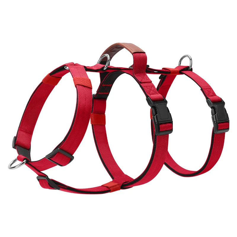 Three-Strap Escape Resistant Harness for Medium and Large Dogs