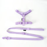 Adjustable Puppy Harness, Collar and Leash Set in Macaron Colors